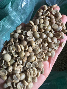 Granos de Café Verde Arábica Orgánico 26 de Alta Calidad, 100% Natural, Nueva Cosecha, S18, Completamente Lavado, Grado de Exportación, Vietnam DHPONE - Product Image 2