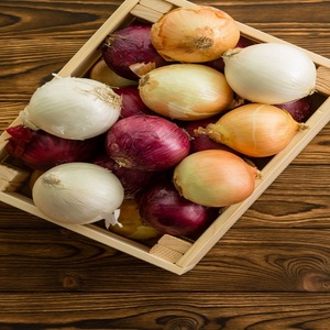 หัวหอมแดงสด คุณภาพพรีเมียม ออร์แกนิค ราคาดีที่สุด พร้อมภาษีฟรี - Product Image 2