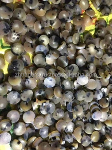 Decoración técnica de pulido al por mayor superventas de alta calidad de 4 agujeros Botón de cuerno de búfalo Real ropa a presión de hueso Natural - Product Image 3