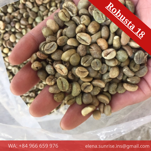 Granos de Café Verde Sin Tostar, Naturales, Procesados, Grado AA, Variedad Robusta de Vietnam, Bolsa de Yute con A (Sra. Elena -+84 966 659 976) 60 kg - Product Image 3