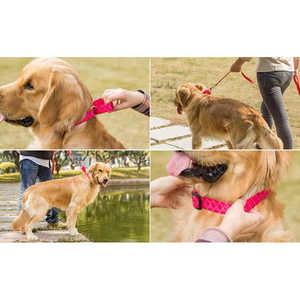 Fournitures pour animaux de compagnie martingale collier de chien de compagnie personnalisé avec boucle collier de chien en Nylon de base accessoires pour animaux de compagnie en nylon - Product Image 2