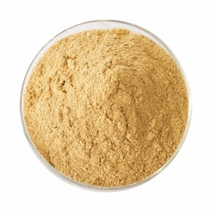 High Quality Food Grade Costus Root Powder 100% Pure & Natural Saussurea Costus Powder <b>for</b> Tea Blends & Nutritional Drinks - Product Image 1