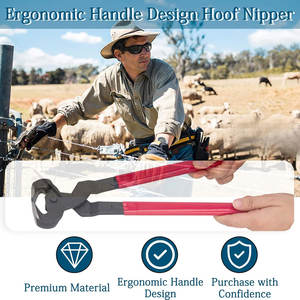 Cortauñas para Caballos de Acero Inoxidable Reutilizables con Empuñadura de Goma, Tamaño Personalizado, Resistentes, para Herradores - Product Image 4