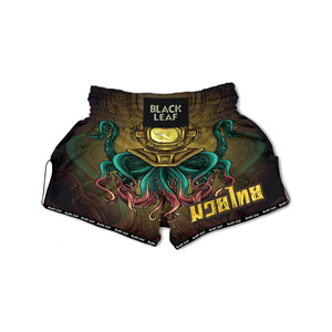 Pantalones Cortos de Muay Thai Profesionales al por Mayor, Ropa Deportiva con Logotipo Personalizado, Fabricante de Pantalones Cortos de Combate - Product Image 4