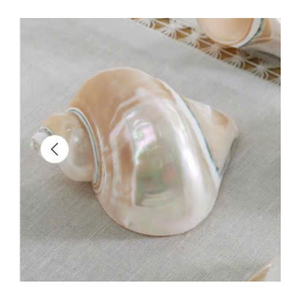 <b>Shell</b> Napkin Rings 1 Piece Handmade Durable Creative Style Irregular Shape Table Decoration Home & Restaurant Use From Viet Nam - Product Image 4