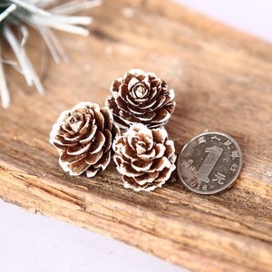 Pignons de pin séchés naturels pour décorations de Noël, artisanat DIY, fabrication de couronnes, vente en gros - Product Image 2