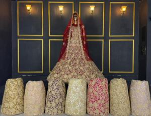 Robe de mariée brodée Lehenga Choli à voile perlé, tenue de mariage pakistanaise, vêtement formel de style ancien - Product Image 2