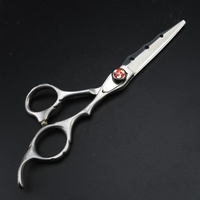 Ciseaux de coiffure professionnels 6.0 pouces en acier inoxydable allemand J2 de haute qualité pour salon et usage domestique