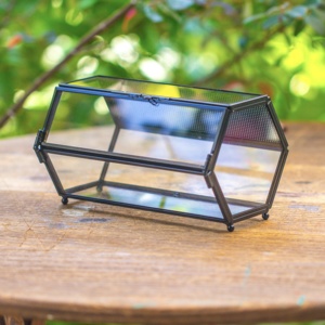 Wholesale Modern Black Metal <b>Frame</b> Mini Glass <b>Plants</b> Terrarium Tabletop Vase with Breathing Holes - Product Image 1
