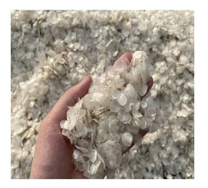 Écailles de poisson tilapia séchées de haute qualité pour l'extraction de collagène, matière première naturelle nettoyée pour l'industrie cosmétique et alimentaire - Product Image 1