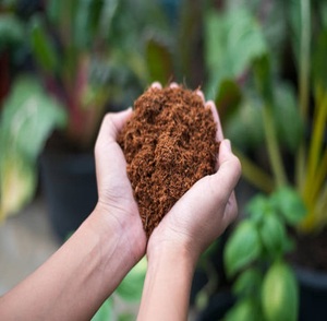 Bloque de Fibra de Coco Cocopeat para Plantas, Medio de Cultivo Hidropónico, Acondicionador de Suelo, Alta Expansión, Calidad de Exportación, Venta al Por Mayor - Product Image 4