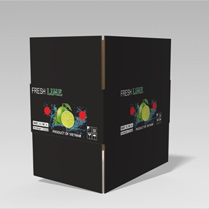 Boîtes en carton ondulé personnalisées écologiques en gros pour l'emballage de citrons verts recyclés, OEM/ODM, du Vietnam - Product Image 5