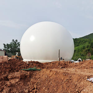 هايو بيع المصنع مباشرة الصين الغاز الحيوي هاضم/غاز الميثان هاضم/خزان الغاز الحيوي - Product Image 5