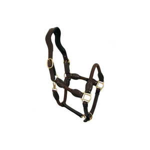 <b>Red</b> Nylon Horse Halter With Brass Hardware For Equestrian Use - Product Image 2