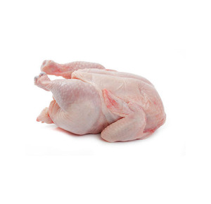Pollo Entero Congelado Halal Premium Grado A BQF para Asar, Grillar y Hacer Caldo - Product Image 6