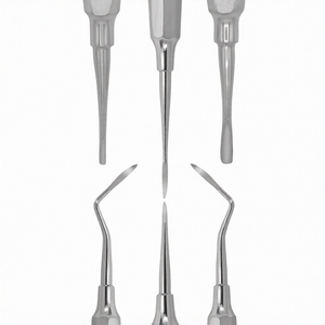 Kit de chirurgie buccale manuel de 20 pièces, instruments d'extraction en acier inoxydable avec cassette de stérilisation 20 emplacements, certifié CE - Product Image 2