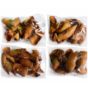 AQUA VRIKSHA ใยมะพร้าวธรรมชาติสำหรับตู้ปลา |   พืชพรรณในตู้ปลาแบล็ควอเตอร์ |   แพ็ค 10 ชิ้น - Product Image 4