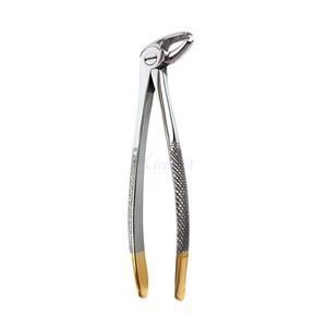 Forceps d'extraction dentaire supérieur antérieur TC, pointe en carbure de tungstène, poignée dorée, pinces chirurgicales pour dents, OEM personnalisé - Product Image 3