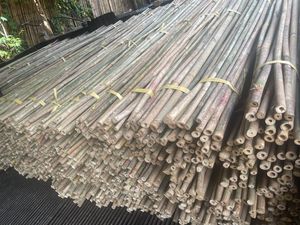 Natural Bamboo Plant Support <b>Poles</b> Plastic Free <b>Garden</b> Supply <b>for</b> Sustainable Growing Projects - Product Image 6