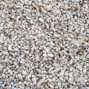 Muestra GRATUITA de Nueces de Anacardo, Granos de Anacardo Listos para Enviar, Nueces de Anacardo Kaju SANTIGO - Product Image 1