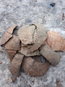 โรงงานเวียดนาม ผลิตภัณฑ์เปลือกมะพร้าวดิบ เปลือกมะพร้าวธรรมชาติ วัตถุดิบจำนวนมากสำหรับงานฝีมือ ผู้จัดจำหน่ายถ่านสำหรับส่งออก - Product Image 5