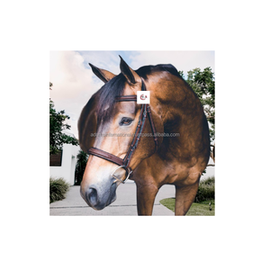 Bride pour la course de chevaux équestres, pas cher, de haute qualité, pour la course de chevaux équestres - Product Image 1