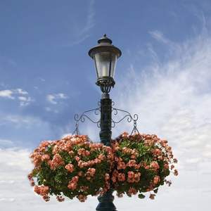 2 Ganchos de Hierro para Colgar Plantas, Soporte para Comederos de Pájaros, Faroles y Campanas de Viento, para Decoraciones de Exterior - Product Image 6