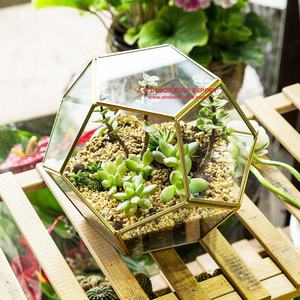 Terrario de vidrio para el hogar, plantador de Metal único para mesa de alta calidad con forma geométrica - Product Image 3
