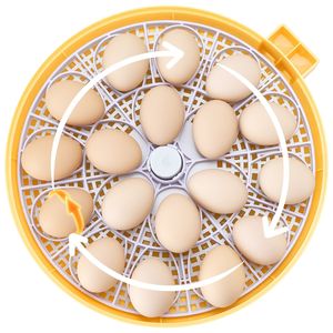 ตู้ฟักไข่อัตโนมัติ 18 ฟอง พร้อมไฟ LED ตรวจสอบไข่ ควบคุมอุณหภูมิและความชื้น หน้าต่างใสมองเห็นได้ 360 องศา สำหรับเครื่องกลับไข่อัตโนมัติ 360 ฟอง - Product Image 4