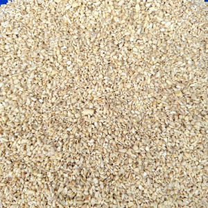 "Wholesale Cashew <b>Nut</b> <b>Kernels</b> Ww320 Vacuum Packed Cashew <b>Nuts</b> Vietnam Cashew <b>Nuts</b> Wholesale Cheap Price, Oem Odm Packaging" - Product Image 1