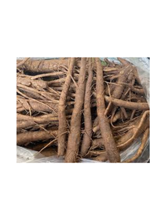 RAÍZ DE ALDERA SECADA NATURAL DE CALIDAD PREMIUM PARA EXPORTACIÓN - Product Image 2