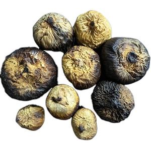 Vaina de Talami Ecológica, Seca, de Diferentes Tamaños, Proveniente de la India, para Decoración de Potpourri - Product Image 2