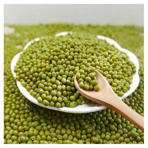 Premium Quality Green Mung <b>Beans</b> Wholesale Supplier and Exporter for International Food Importers and Distributors - Product Image 2
