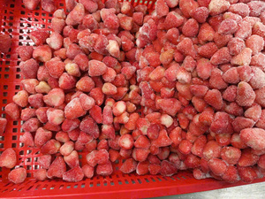 Fresas Congeladas IQF para Fabricantes de Smoothies, Postres y Bebidas |   Proveedor de Vietnam - Product Image 6