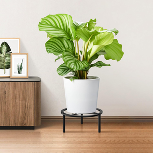Support de plante rond minimaliste en fer, support de pot de fleurs surélevé pour la maison, le balcon, la terrasse et le jardin - Product Image 2