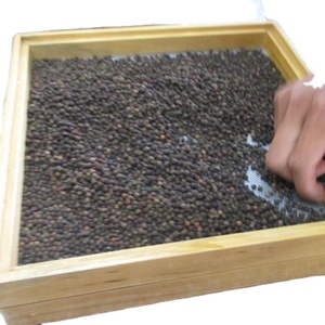 Envío rápido de especias de VIETNAM, pimienta negra/pimienta blanca - Product Image 1