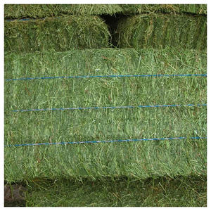 Heno de Alfalfa Estadounidense para Alimentación Animal, Ganado, Caballos, Vacas, Pollos, Mascotas - Product Image 6