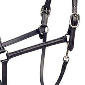 Horsekraft Halteur anatomique pour cheval avec surpiqûres décoratives, en cuir véritable de qualité supérieure, durable, avec boucles carrées surélevées en acier inoxydable fin. - Product Image 5