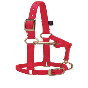 Cabestro ligero de nailon colorido para caballo, tallas personalizadas, doble ajuste, cabestro de nailon para carreras de caballos en opción de colores vibrantes - Product Image 4