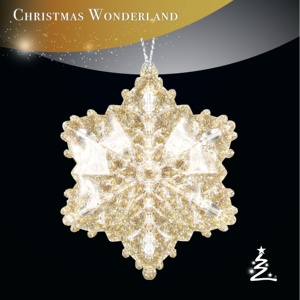 Décoration de Noël et du Nouvel An en gros, ornement créatif en acrylique transparent avec paillettes dorées champagne en forme de flocon de neige - Product Image 2