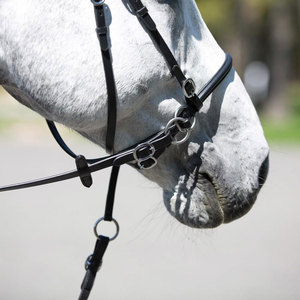 Bridas de Cuero de Alta Calidad para Montar a Caballo - Cómodas, Precio Razonable, Hechas en Pakistán - Product Image 3