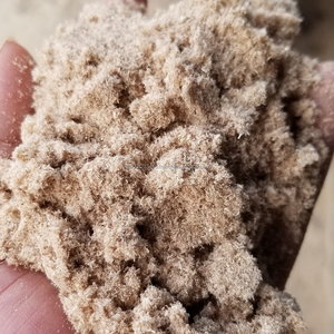 Polvo de Madera de Bambú 100% KMI, Malla 80-100, para WPC/PVC/HDPE/PP, Humedad Natural del 8%, Vida Útil de 12 Meses, Proveedor de Vietnam - Product Image 2