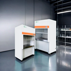 <span class=keywords><strong>Campana</strong></span> <span class=keywords><strong>extractora</strong></span> de humos con conductos Capboard de humos químicos para laboratorio - Product Image 2