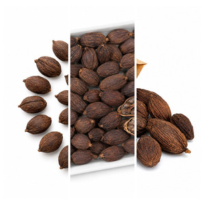 Delicious Vietnam Manufacturer Supply Best Rate Top Selling ISO Certificated Black Cardamom Bulk Supply - Product Image 6