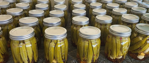 PREMIUM FACTORY Canned Cut Okra 12 Oz Tin Can in Brine for Supermarket Private Label - Product Image 1
