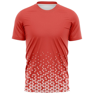 เสื้อยืดฮิปฮอปคอกลมทรงปกติ ยูนิเซ็กซ์ พิมพ์ลายแบบซับลิเมชั่น โลโก้สั่งทำได้ ผ้าโพลีเอสเตอร์/คอตตอนผสม ระบายอากาศได้ดี แห้งเร็ว - Product Image 1
