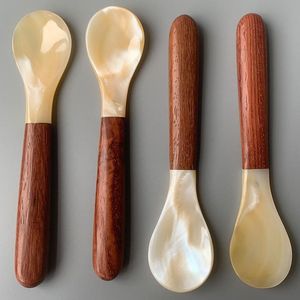 Eco Friendly Spoon Supplier Natural Mother of Pearl Spoon Handmade Shell Spoon Sustainable Seafood Spoon Bulk Wholesale - Product Image 1