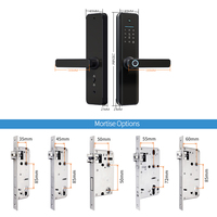 Cerradura Inteligente TTLock con Huella Dactilar, Contraseña, Tarjeta IC, Entrada sin Llave, para Puerta de Madera, Venta al por Mayor de Fábrica, Wi-Fi, para 4 Pilas AA