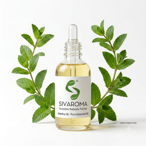 ส่วนผสมน้ำมันเมนทอลพรีเมียมสำหรับผลิตภัณฑ์อโรมาติก การผลิตน้ำหอม สูตรเครื่องสำอาง และผลิตภัณฑ์ดูแลส่วนบุคคล - Product Image 5