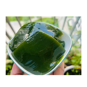 Hojas de Ginseng de Alta Demanda para Mercados Locales y de Exportación - Product Image 5